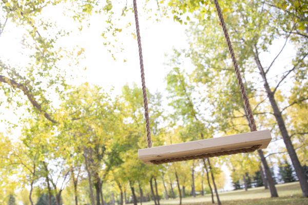 Cost of Tree Swing Installation in Bellevue