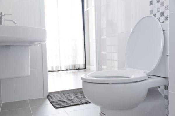 Cost of Toilet Seat Installation in Bellevue