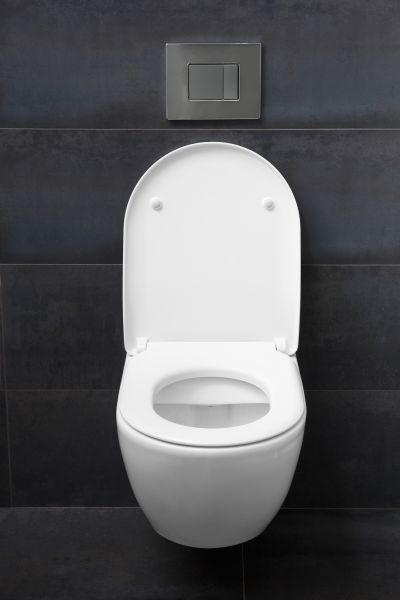 Cost of Toilet Lid Installation in Bellevue