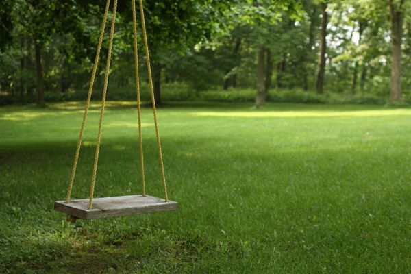 Cost of Rope Swing Installation in Bellevue