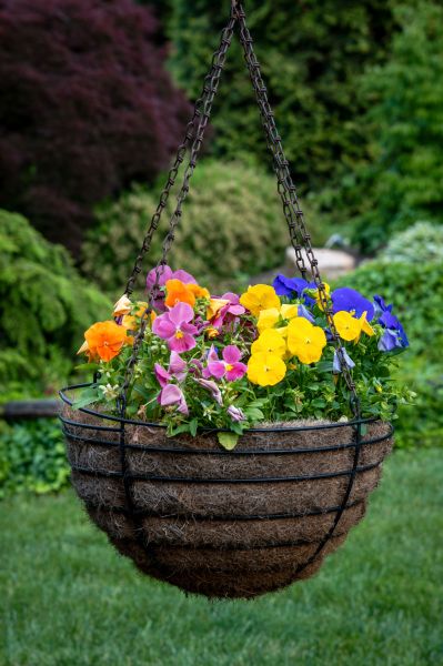Cost of Hanging Basket Installation in Bellevue