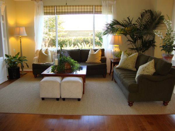 Cost of Valance Rod Installation in Bellevue