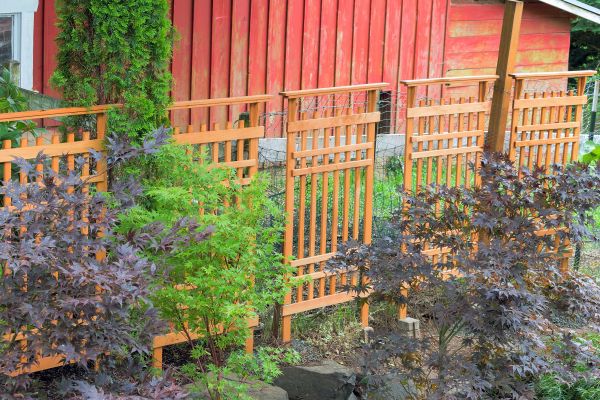 Cost of Wood Trellis Mounting in Bellevue