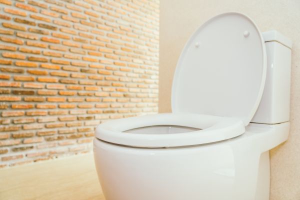 Cost of Toilet Seat Repair in Bellevue