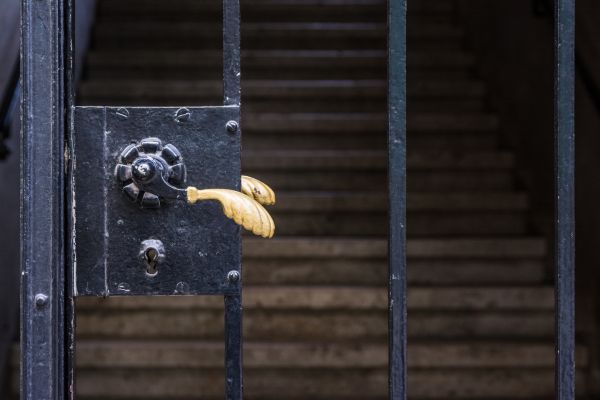 Cost of Gate Handle Replacement in Bellevue